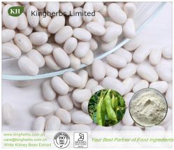 White Kidney Bean Extract Phaseolin 1%, 2%