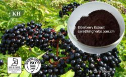 Elderberry Extract Anthocyanidins 25% By Uv; 10: 1