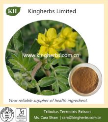 Tribulus Terrestris Extract Tribulus Saponins 90%