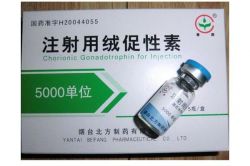 Hcg 5000iu High Quality Chorionic Gonadotrophin