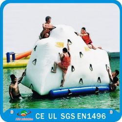 Great Fun Inflatable Crocodile Water Slide 