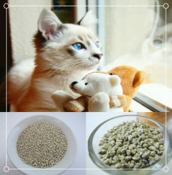 Bentonite Cat Litter