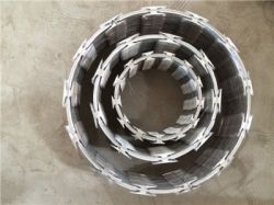 Single Coil Razor Wire 