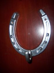 Aluminium Horseshoe With Hook