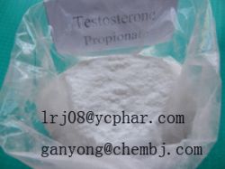 Best Sale Body Building Testosterone Propionate