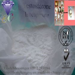 Testosterone Isocaproate Cas 15262-86-9