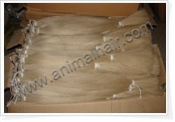  Horse Tail Hair Is Used For Rocking Horse