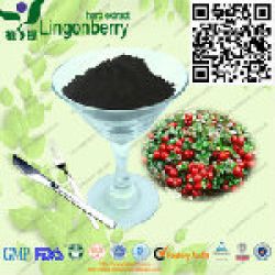Lingonberry Anthocyanin