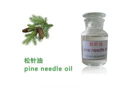 100% Pure And Natural Pine Needle Oil