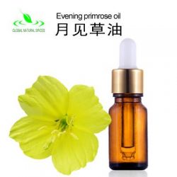 Evening Primrose Oil,evening Primrose Essential Oi