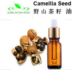 Camellia Oleifera,camellia Oil,camellia Seed Oil