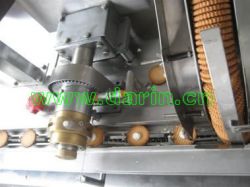 Soft/Hard/Stick/ Ball Biscuit Processing Line