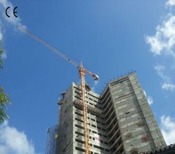 Mobile Tower Crane/self-raised Tower Crane Qtz50 