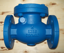 Swing Check Valve