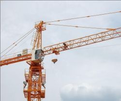 Hydraulic Tower Crane For Hot Sale Qtz50 (4810)