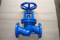 Globe Valve