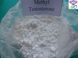 17-alpha-methyl Testosterone 