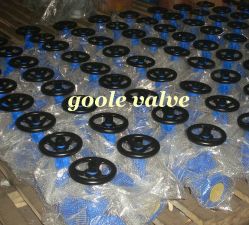 DIN / API Globe Valve 