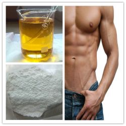 High Purity Powders Testosterone Sustanon250