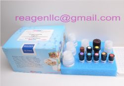 Chlorpromazine Elisa Test Kit