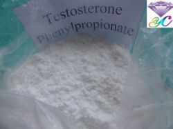 Testosterone Phenylpropionate