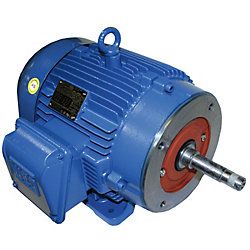 Weg Motor 