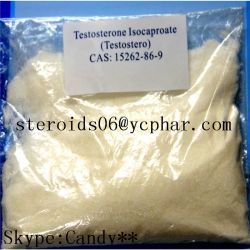 Testosterone Isocaproate 