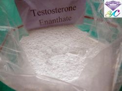 Testosterone Enanthate 