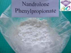 Nandrolone Phenylpropionate