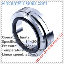 Rs-h10 Mechanical Seal