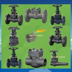 Forged steel gate valve 